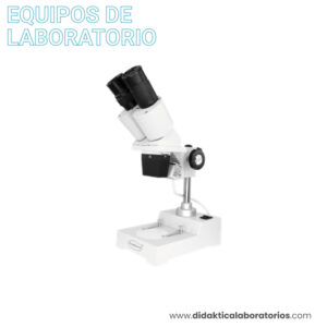Estereoscopio