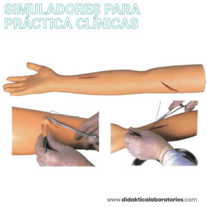Simulador de sutura en brazo