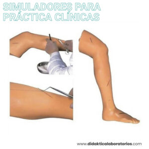 Simulador de sutura en pierna